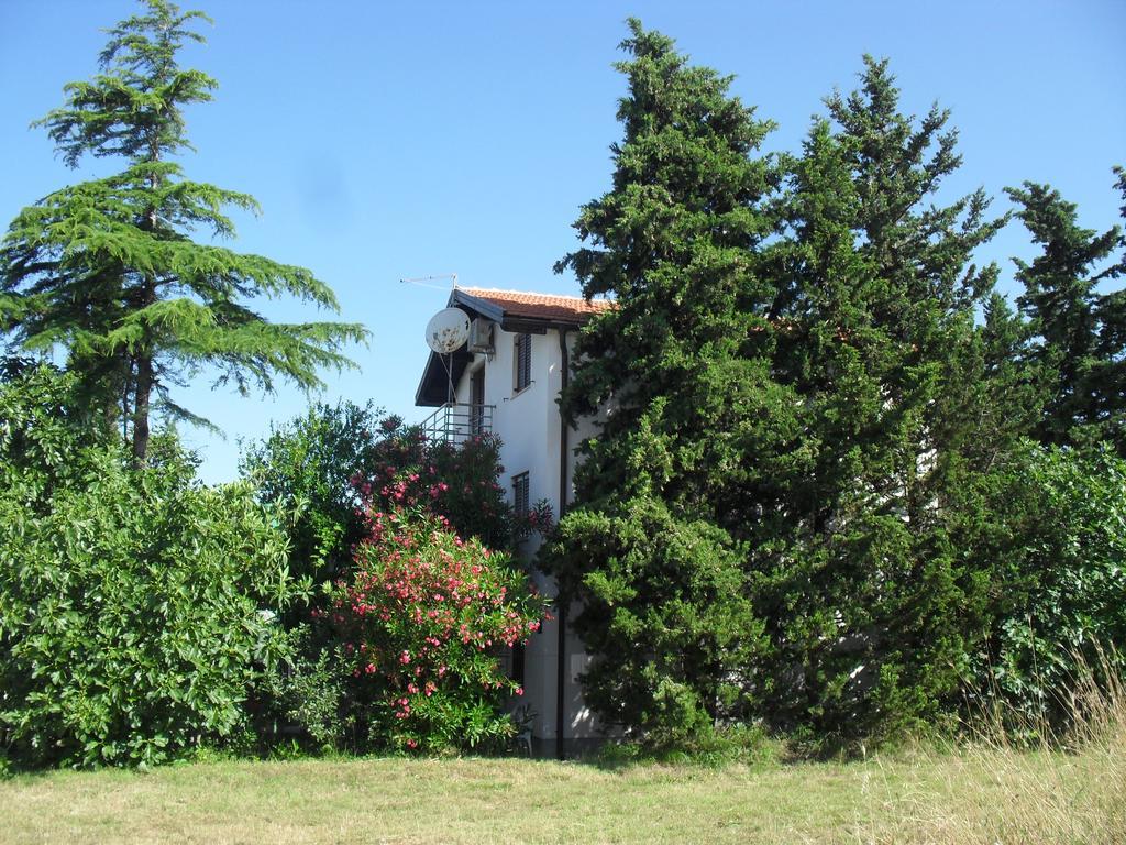 Apartment Lana Privlaka  Exterior foto