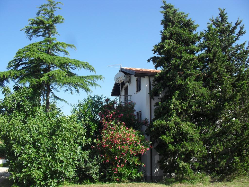 Apartment Lana Privlaka  Exterior foto